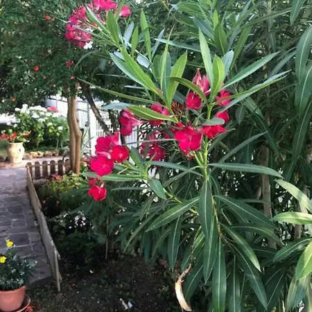 Le Ginestre Διαμέρισμα